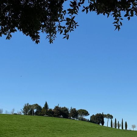 Orvieto Country House Castiglione In Teverina Exteriör bild