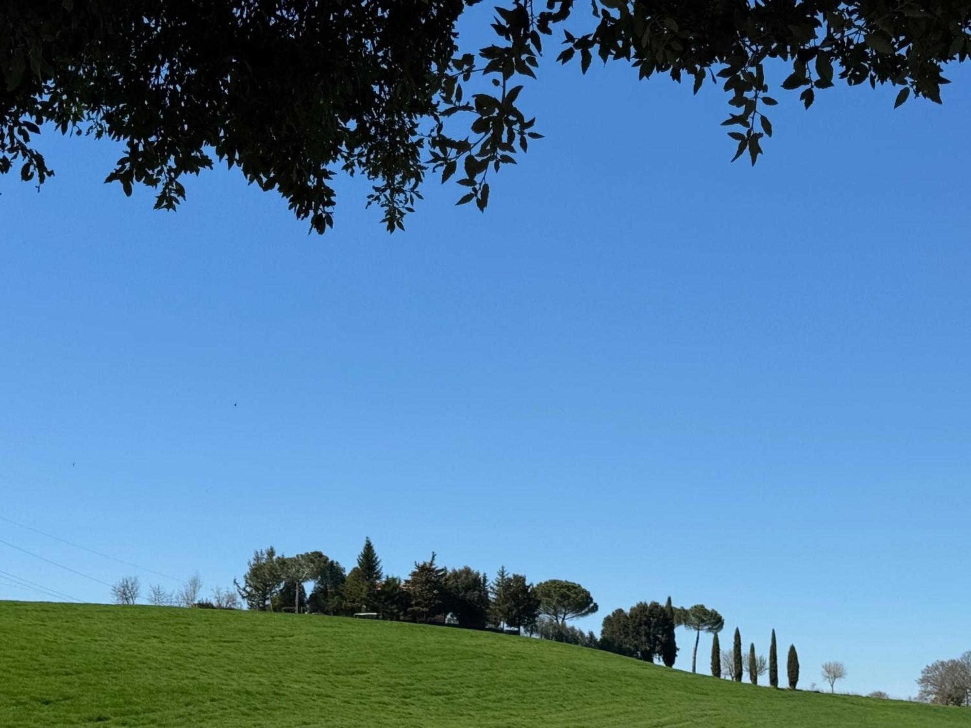 Orvieto Country House Castiglione In Teverina Exteriör bild