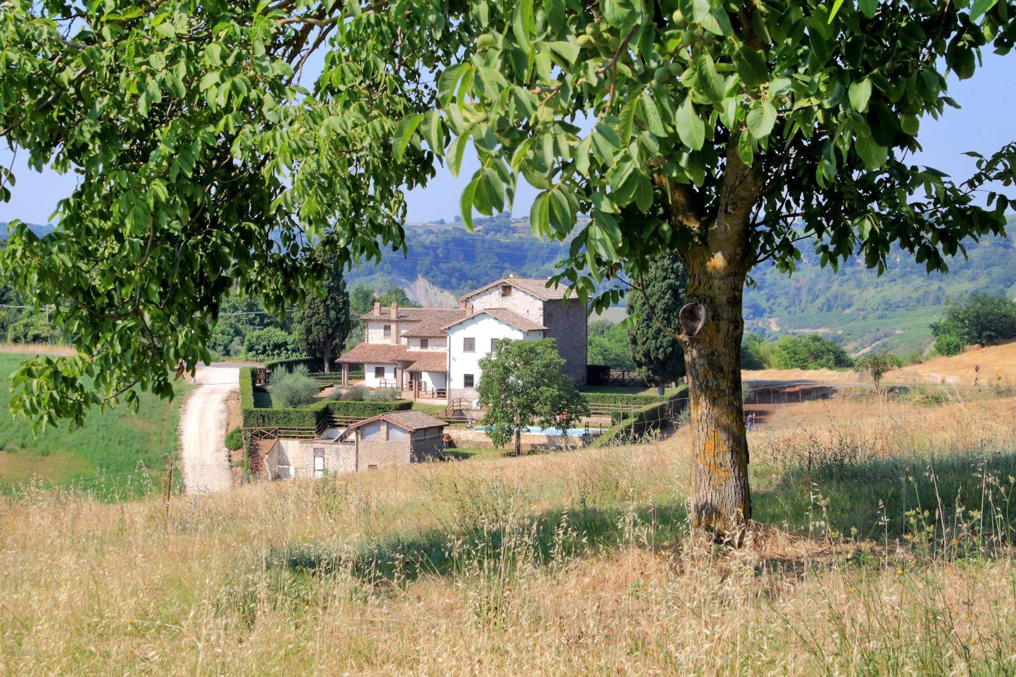 Orvieto Country House Castiglione In Teverina Exteriör bild