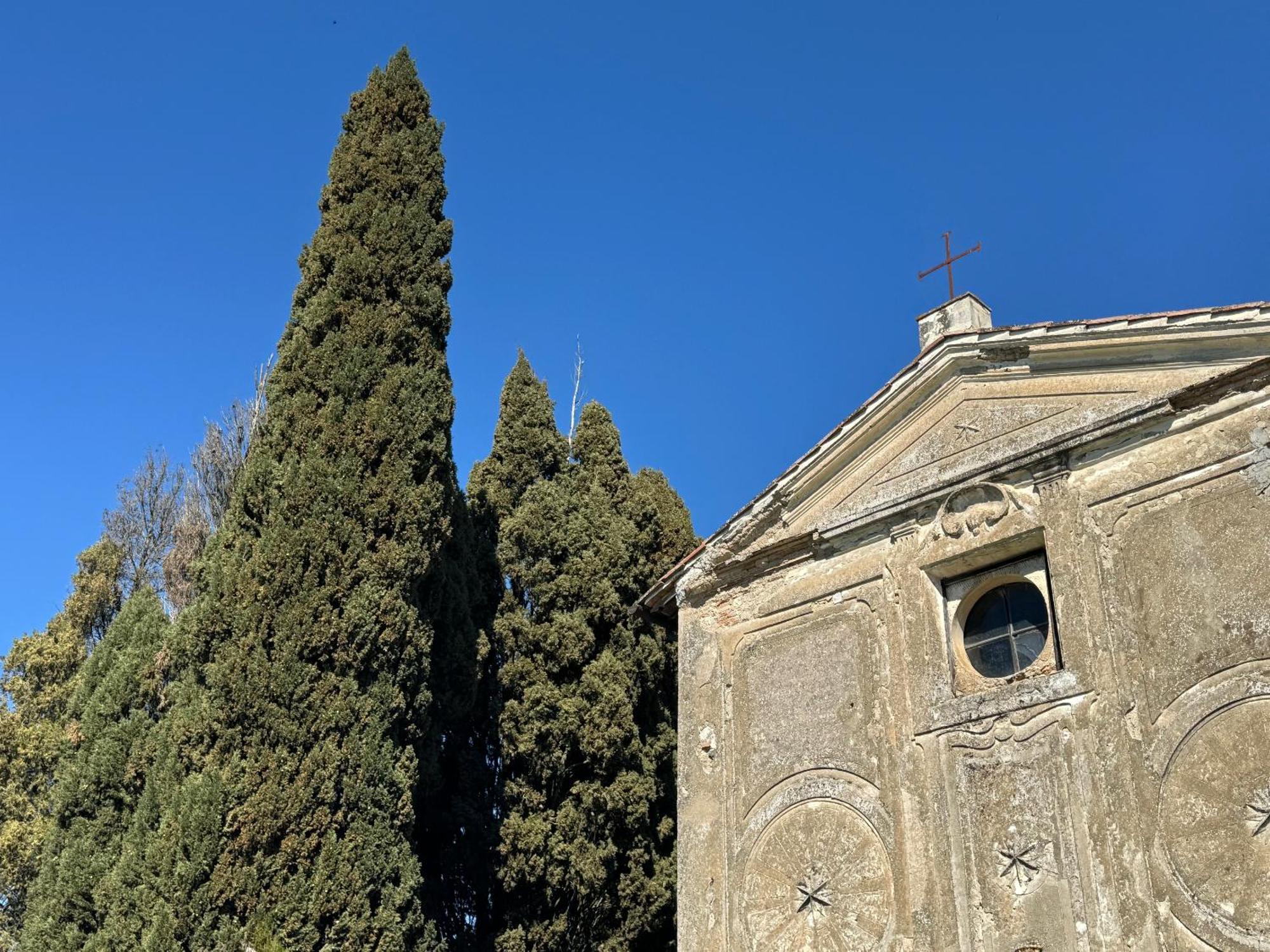 Orvieto Country House Castiglione In Teverina Exteriör bild