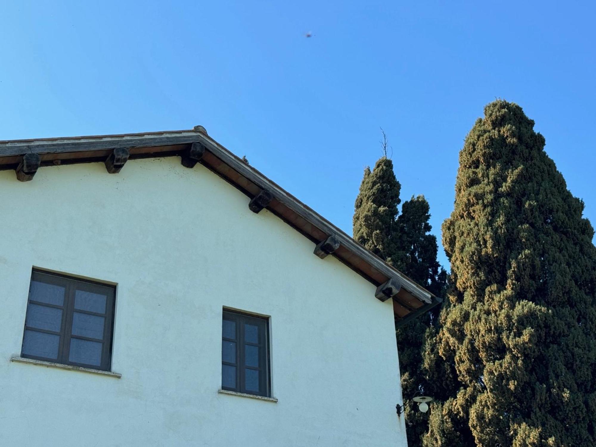 Orvieto Country House Castiglione In Teverina Exteriör bild