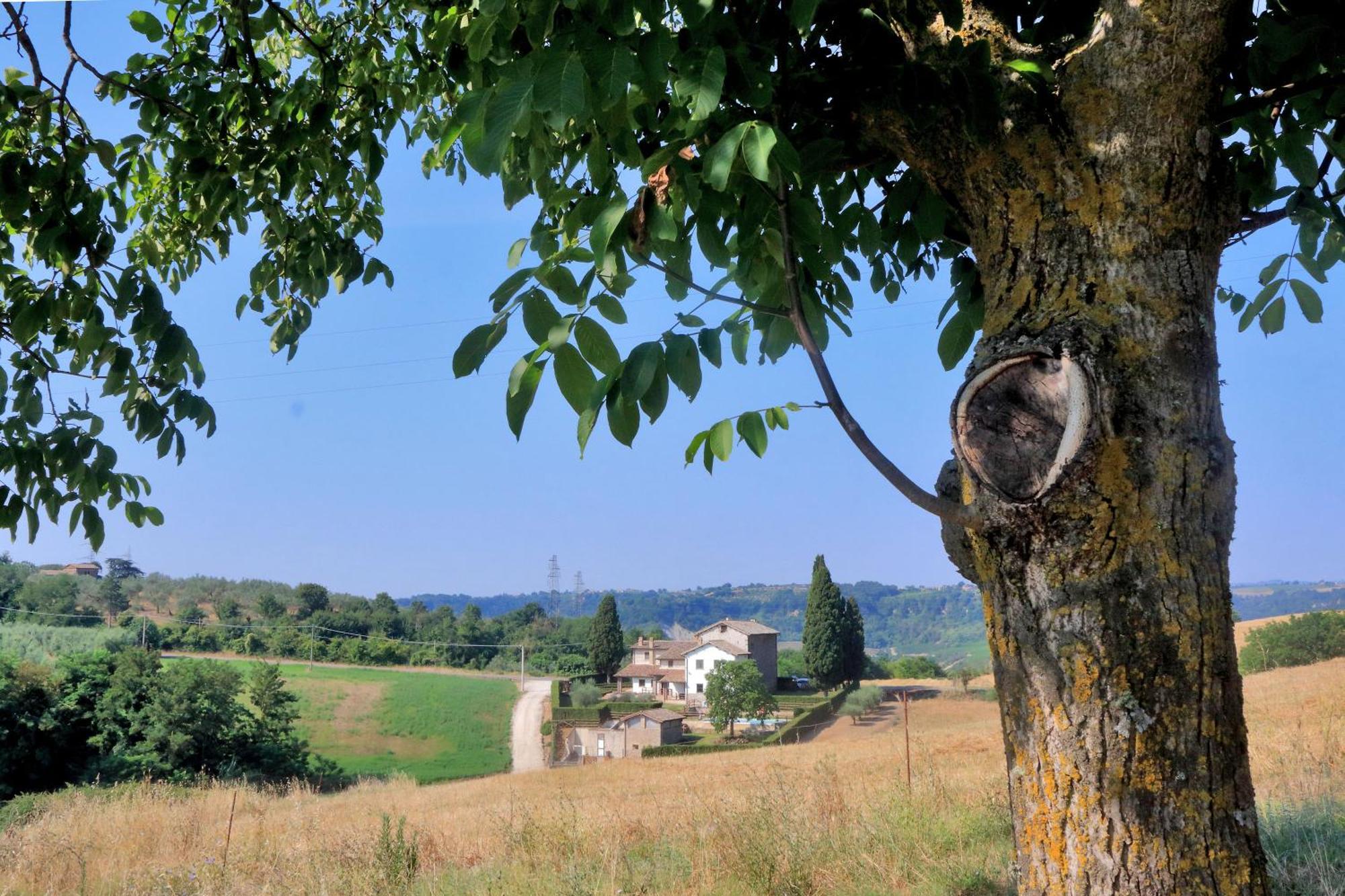 Orvieto Country House Castiglione In Teverina Exteriör bild