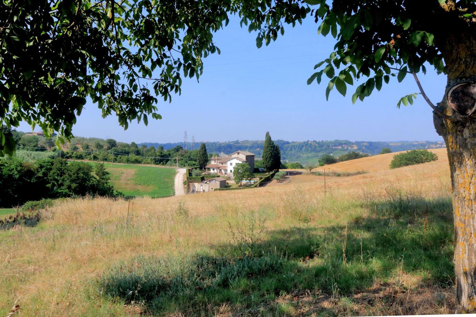 Orvieto Country House Castiglione In Teverina Exteriör bild