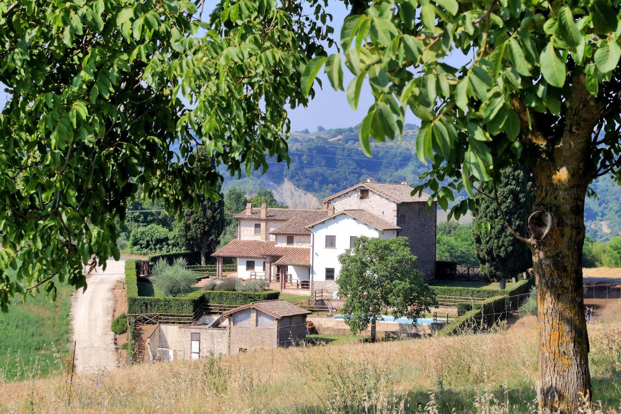 Orvieto Country House Castiglione In Teverina Exteriör bild